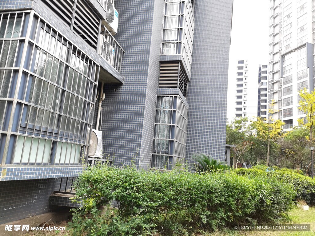 现代建筑旁的绿植景观