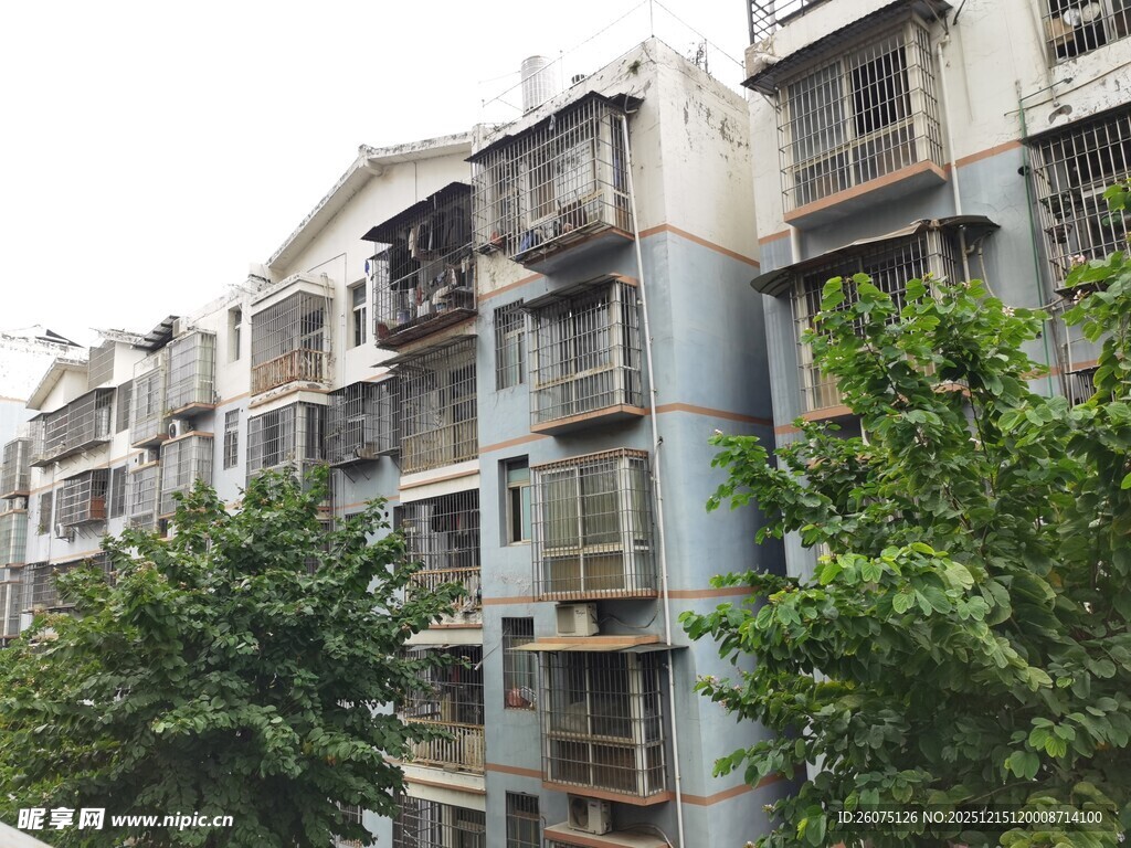 多层居民楼与绿植景观