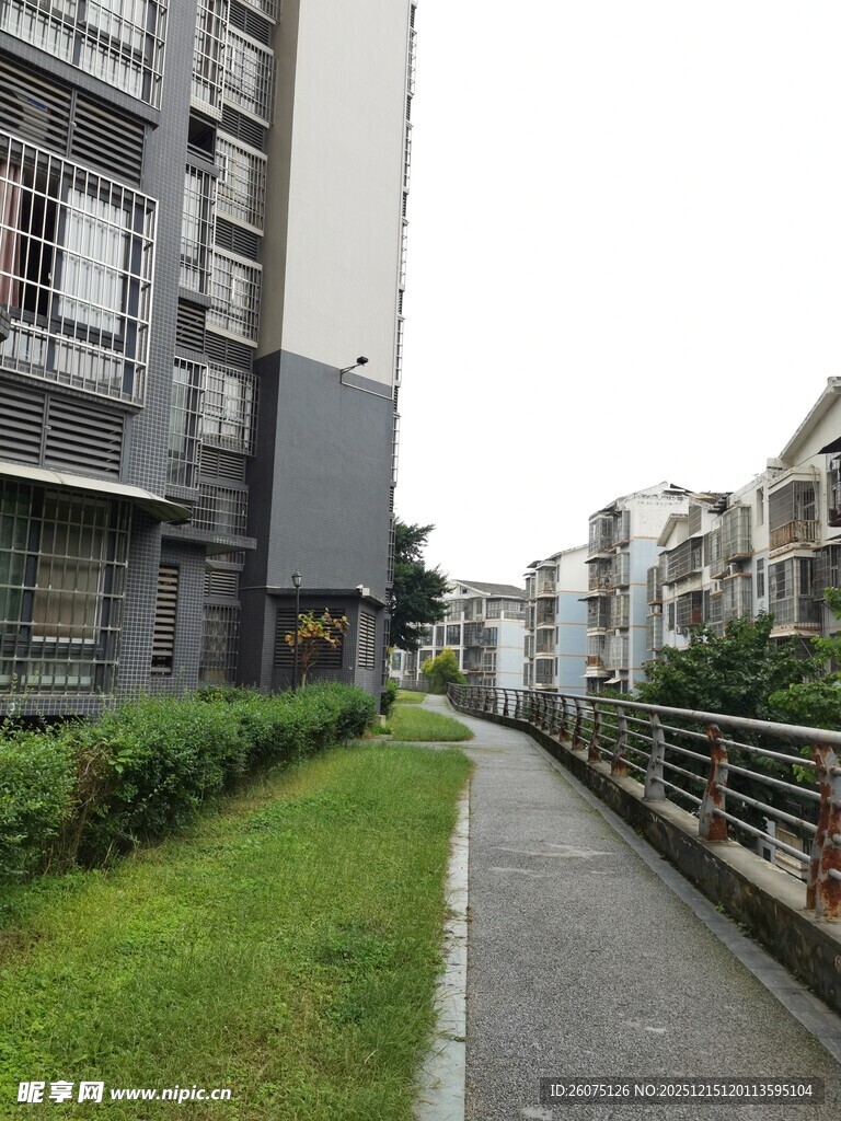 小区内的幽静步道与绿植