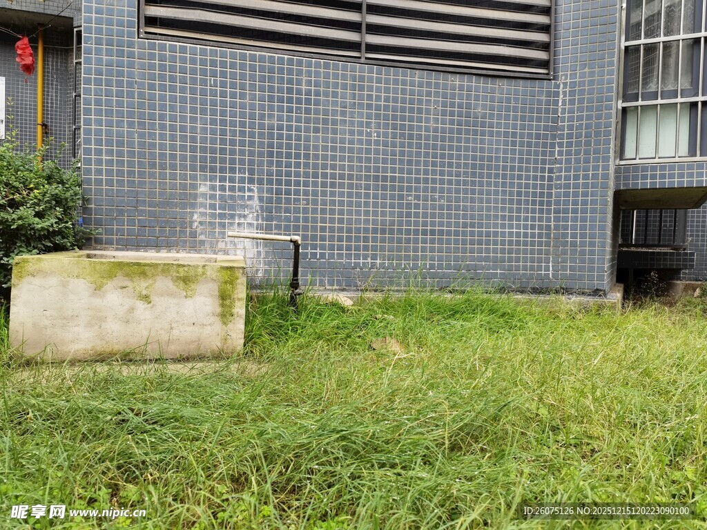 户外墙边的绿植与石墩