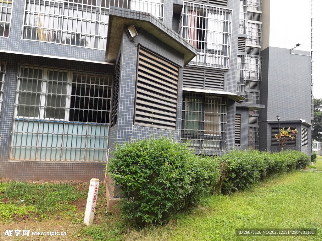 现代住宅旁的绿植景观