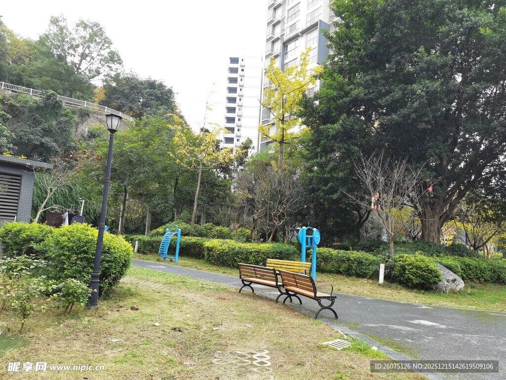 公园中的休闲长椅与绿植