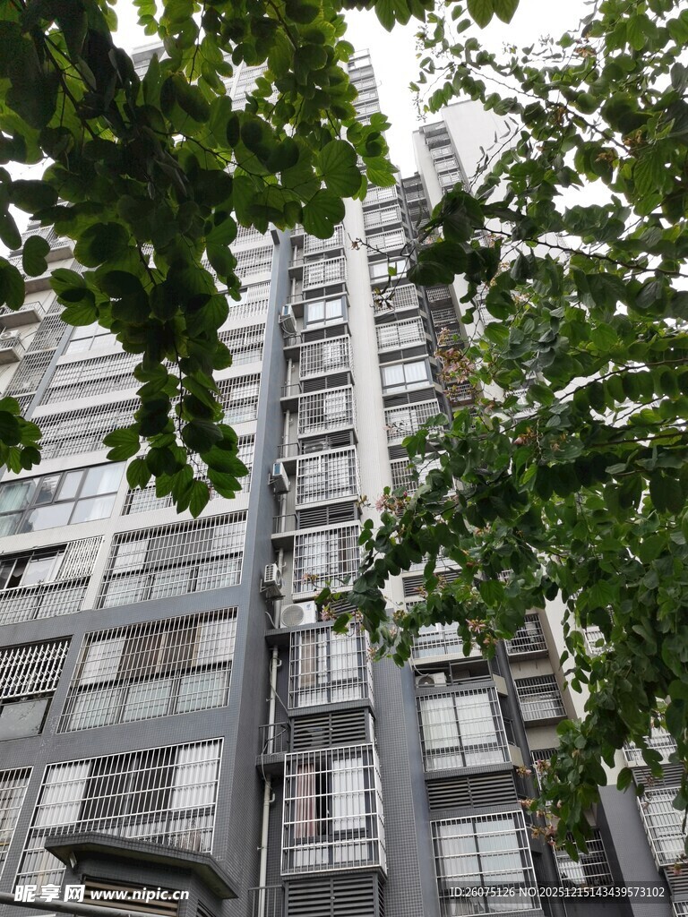 高楼掩映于绿树之间