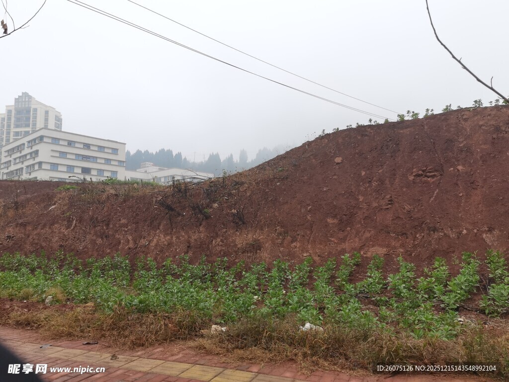 城郊土坡与绿植景观