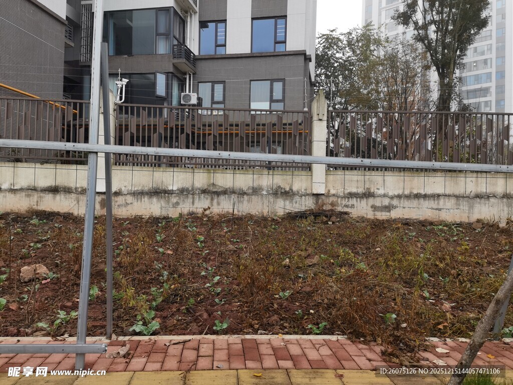 户外待开发的空地场景