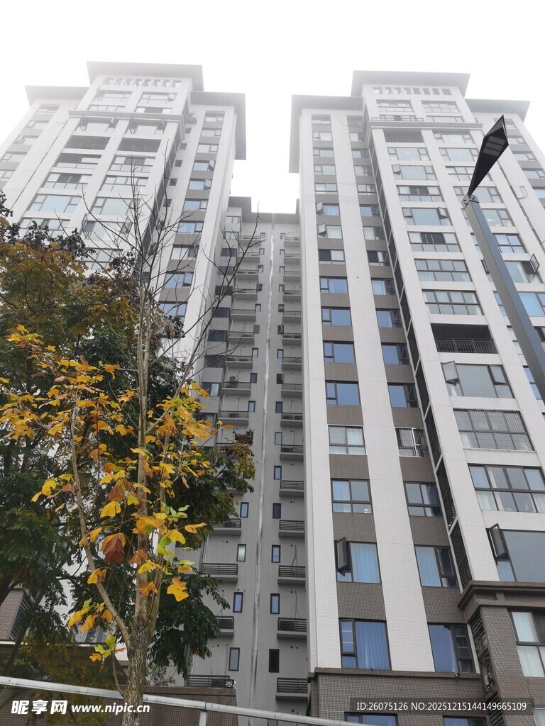 高层住宅楼与秋日树木