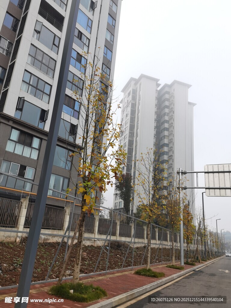 城市住宅区街道景象