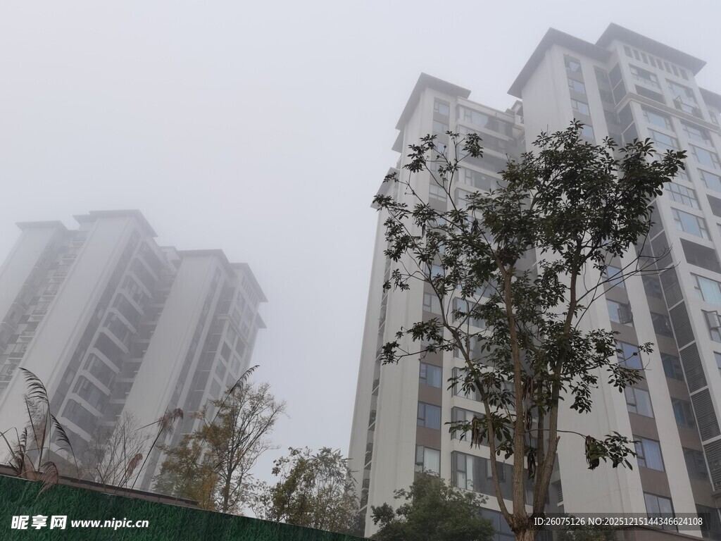 雾中高楼与绿树