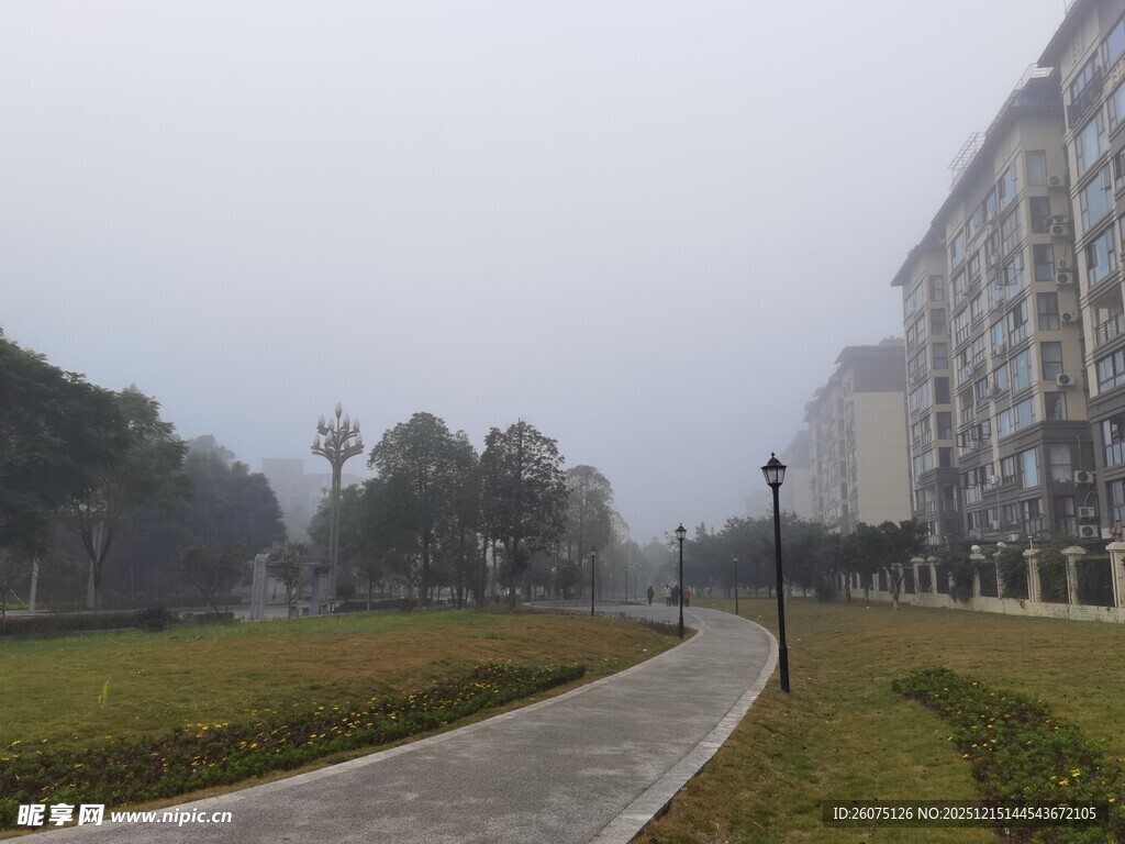 雾中校园小路景观