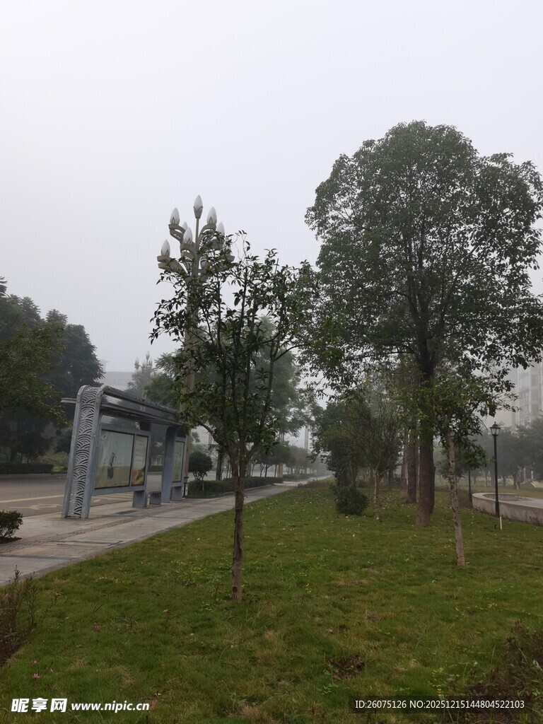 户外绿化道路景观