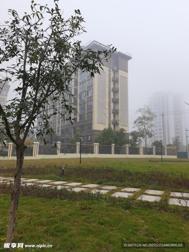 雾中楼宇与绿植景观