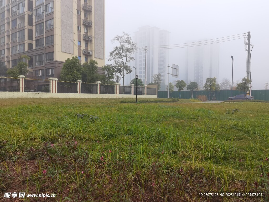 城郊草地与远处高楼景观