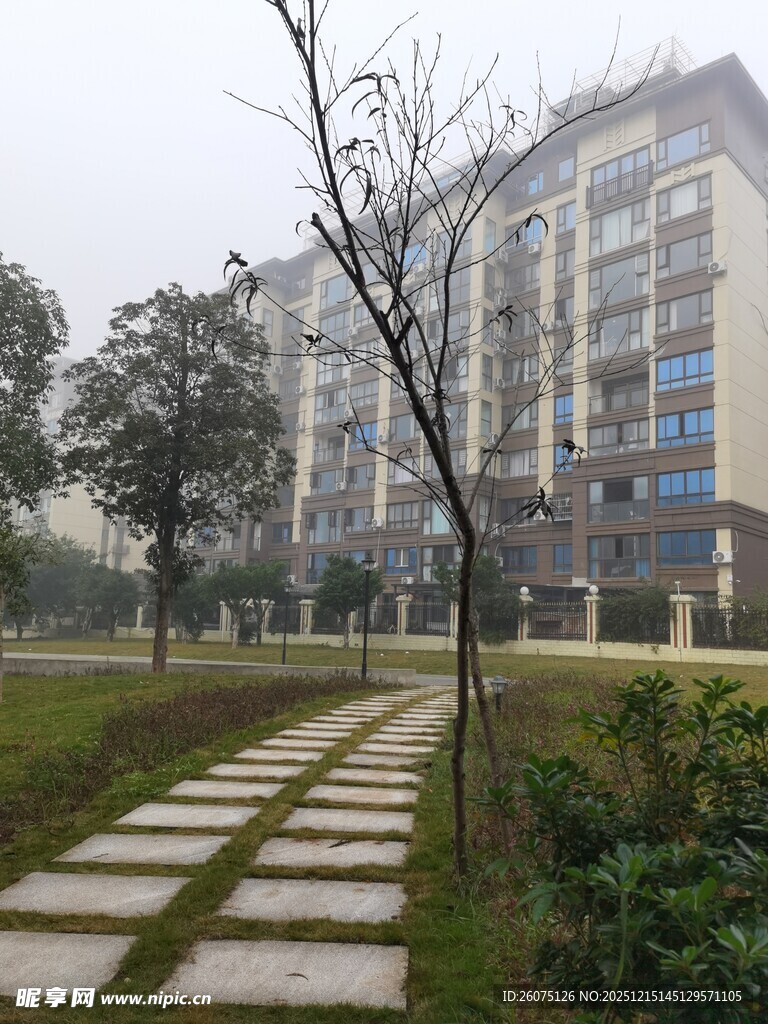 小区内的石板小径与建筑