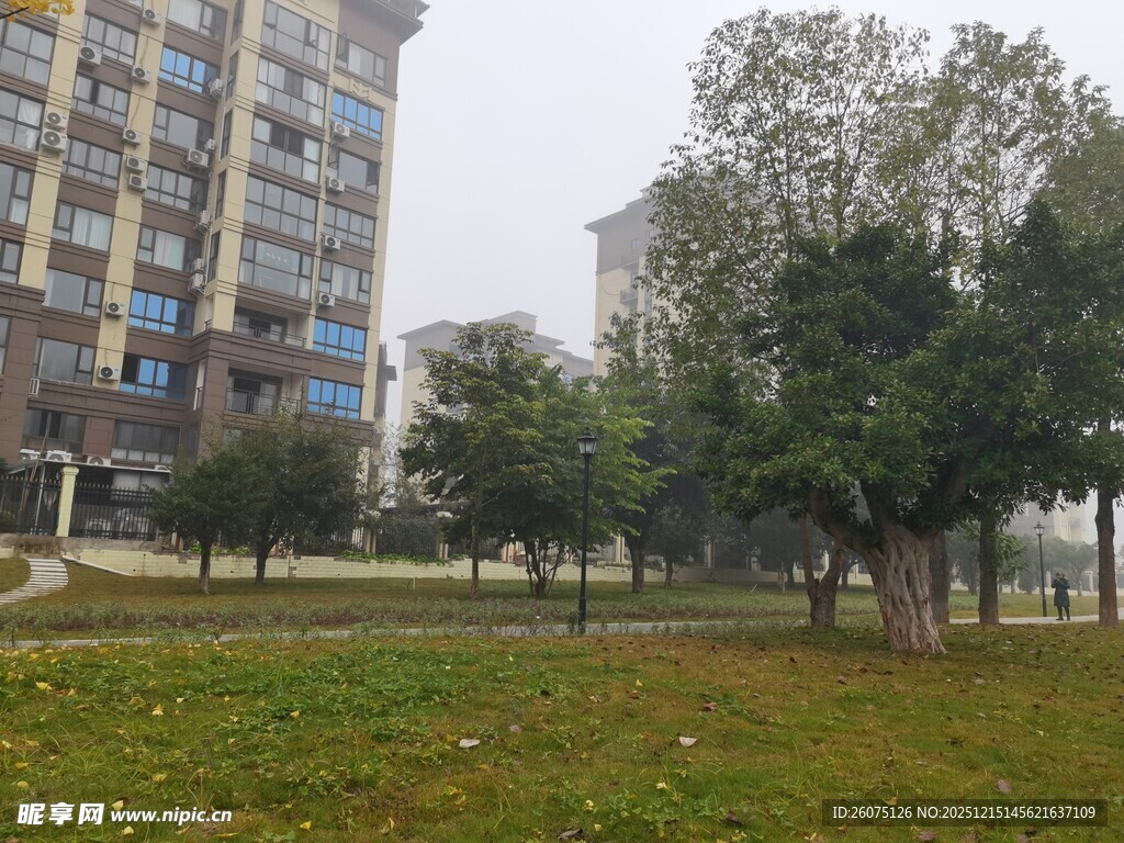 小区内的绿化景观