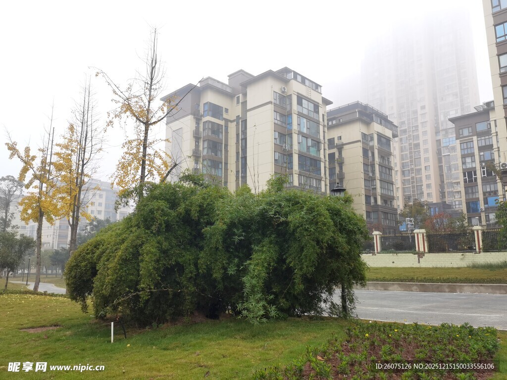 雾中小区绿植与建筑景观