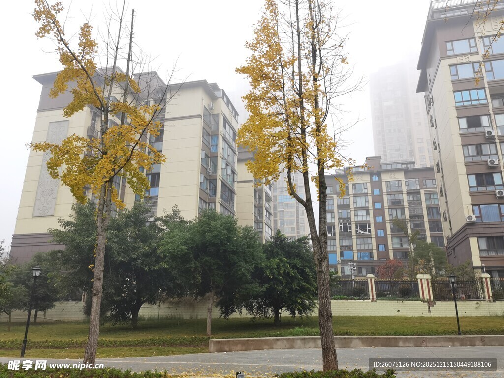 秋日城市住宅区景观