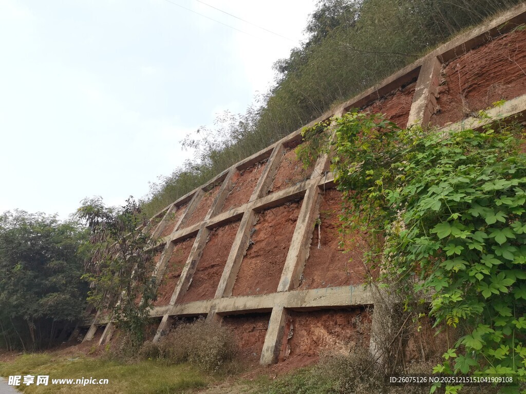 古老砖墙爬满翠绿藤蔓