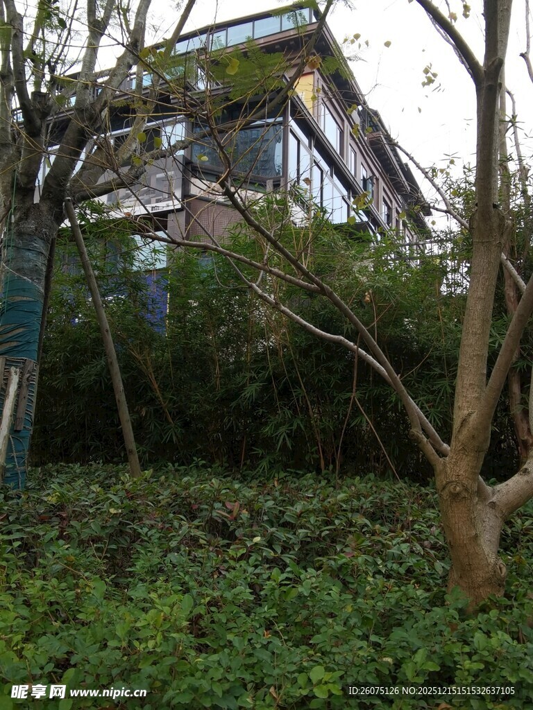 林中独特建筑隐于绿植间