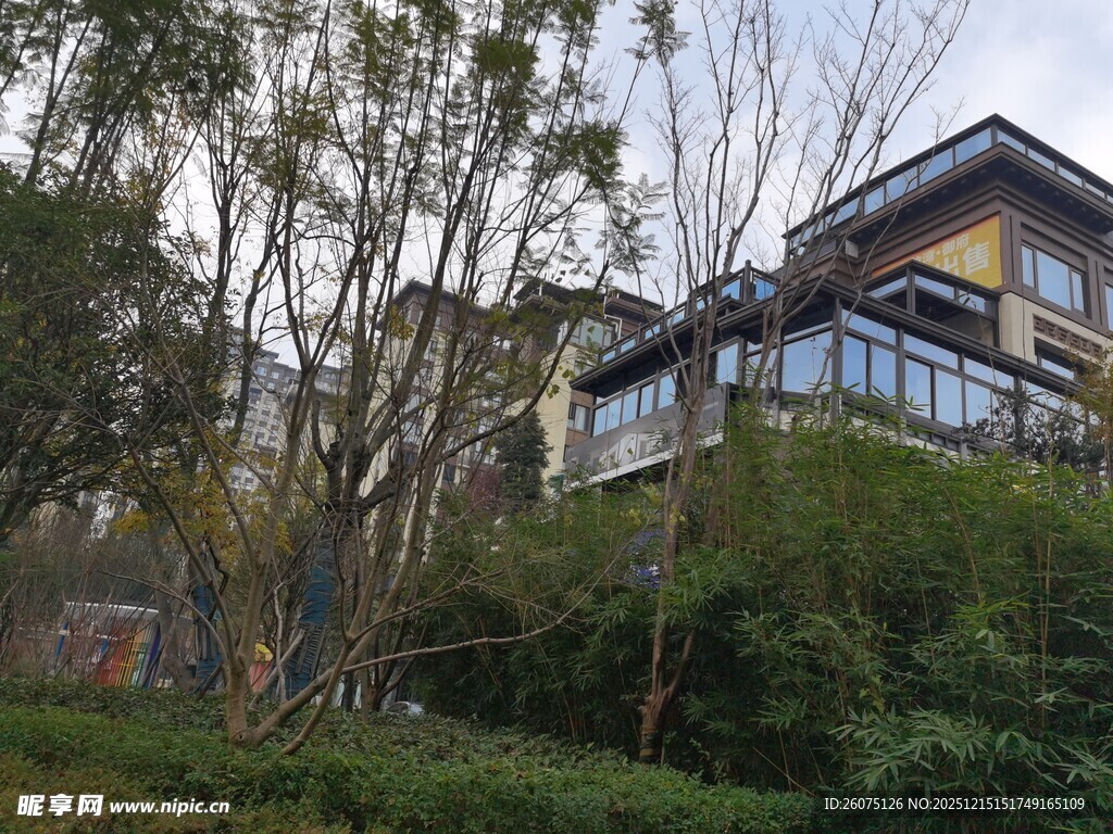 山林间的现代风格别墅