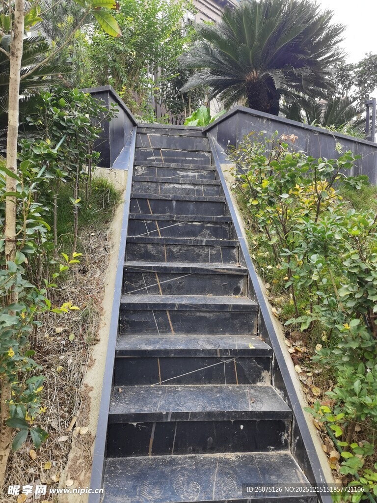 林间石阶通往自然深处