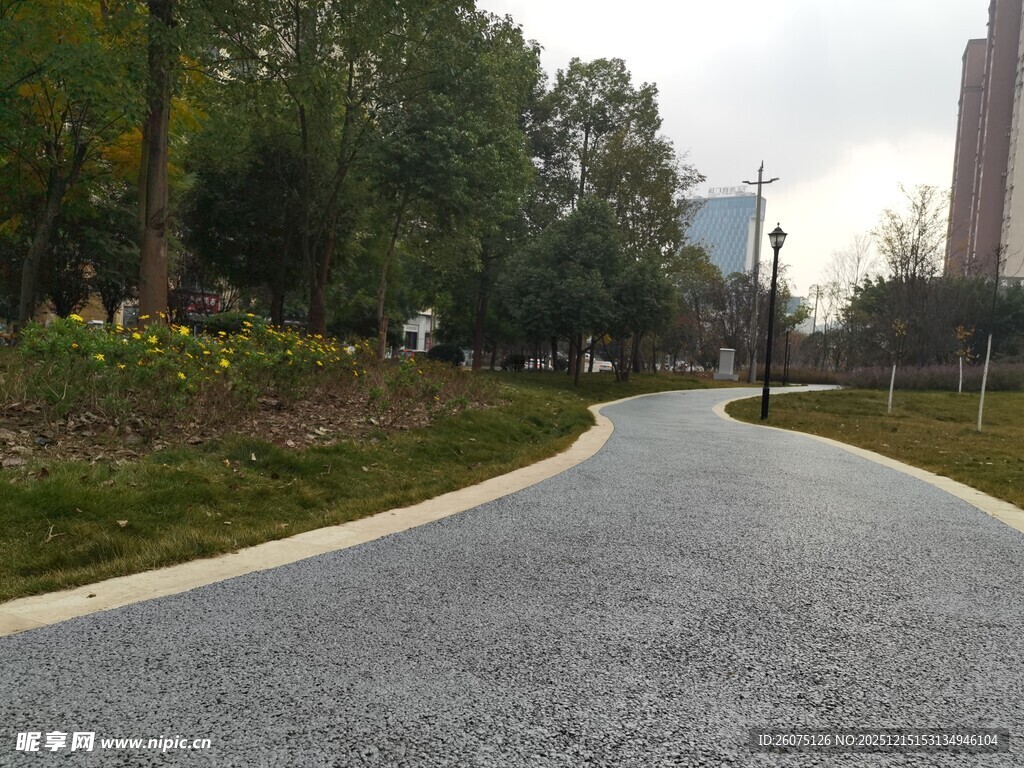 城市中蜿蜒的林荫步道