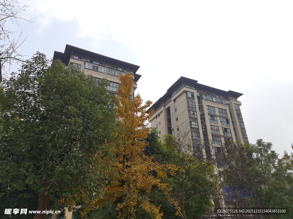 秋日树木环绕的两栋建筑