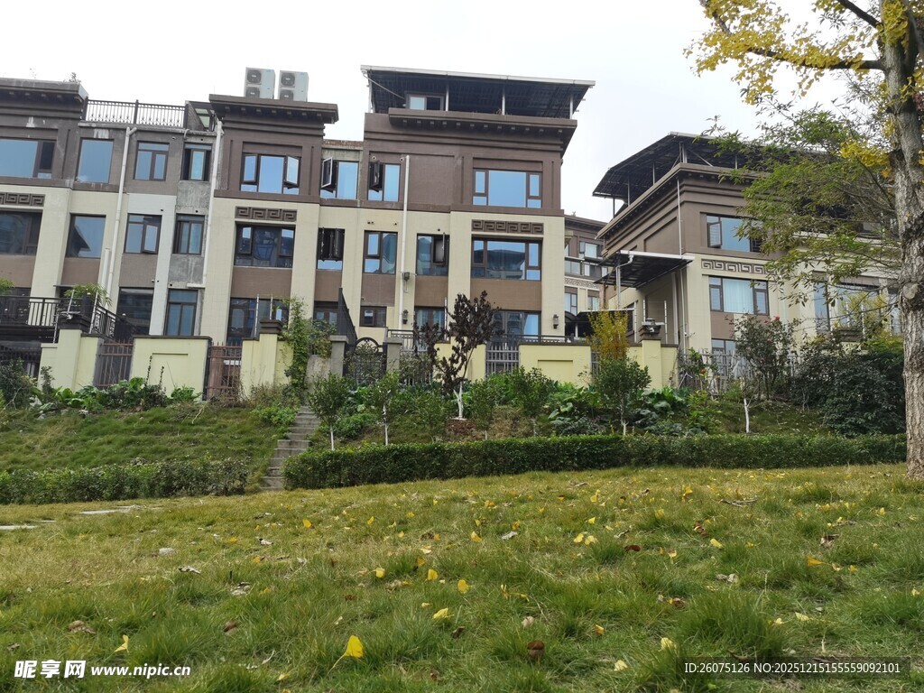 豪华联排别墅景观