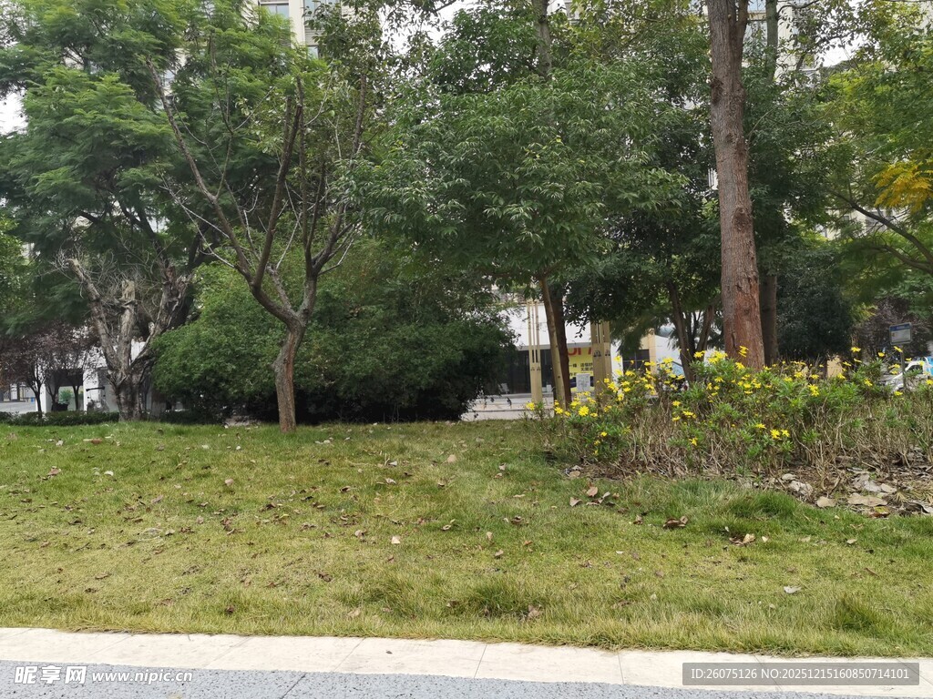 城市中的绿意盎然景观