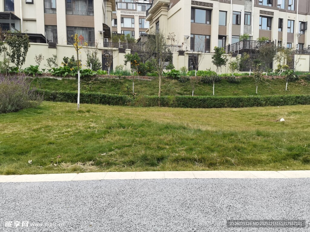 现代小区外的绿化景观