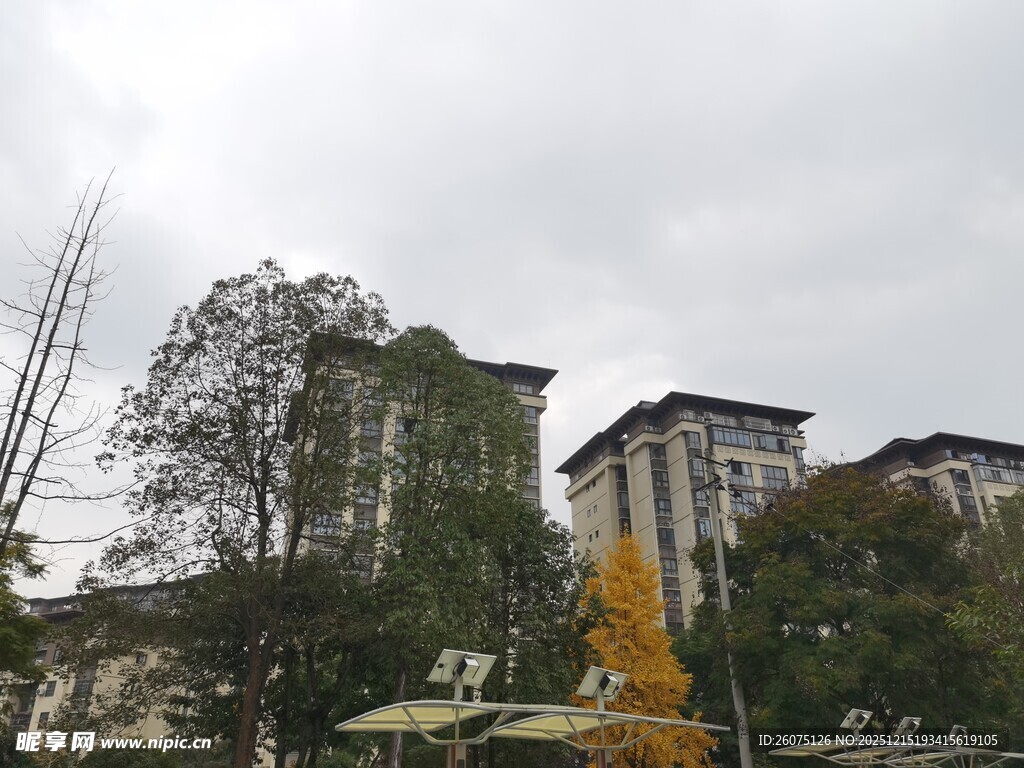 城市中的建筑与施工机械