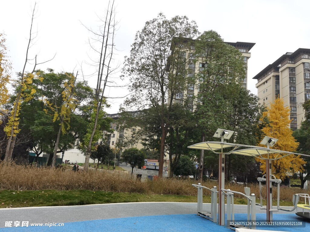 城市中的休闲户外公园场景