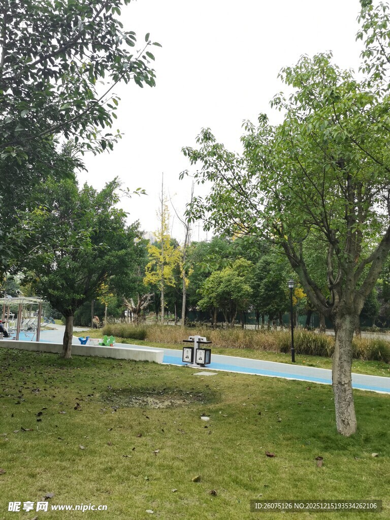 公园绿意小径宁静景致