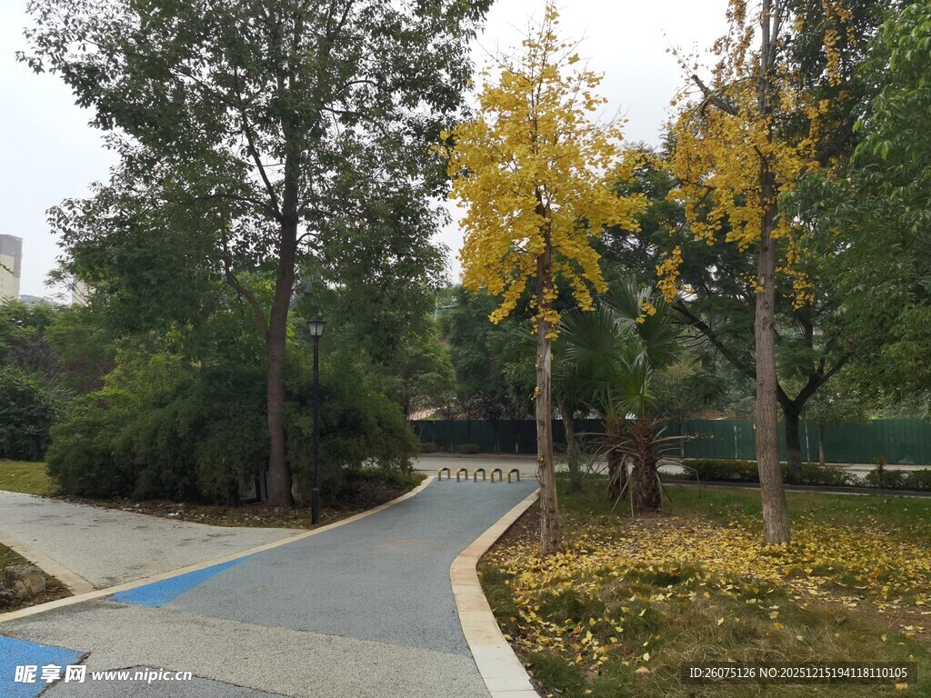 秋日林间漫步小道