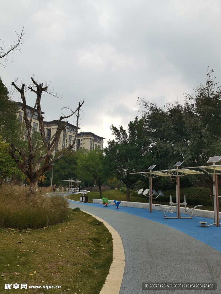 公园中的蓝色步道景观