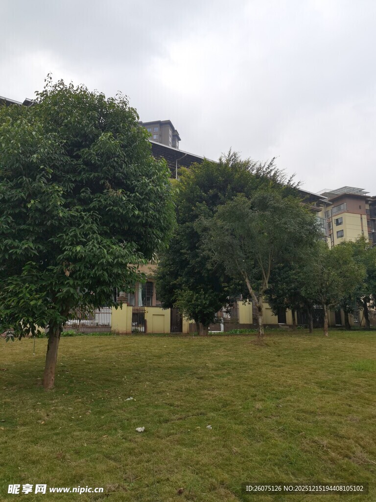 校园绿地与建筑景观