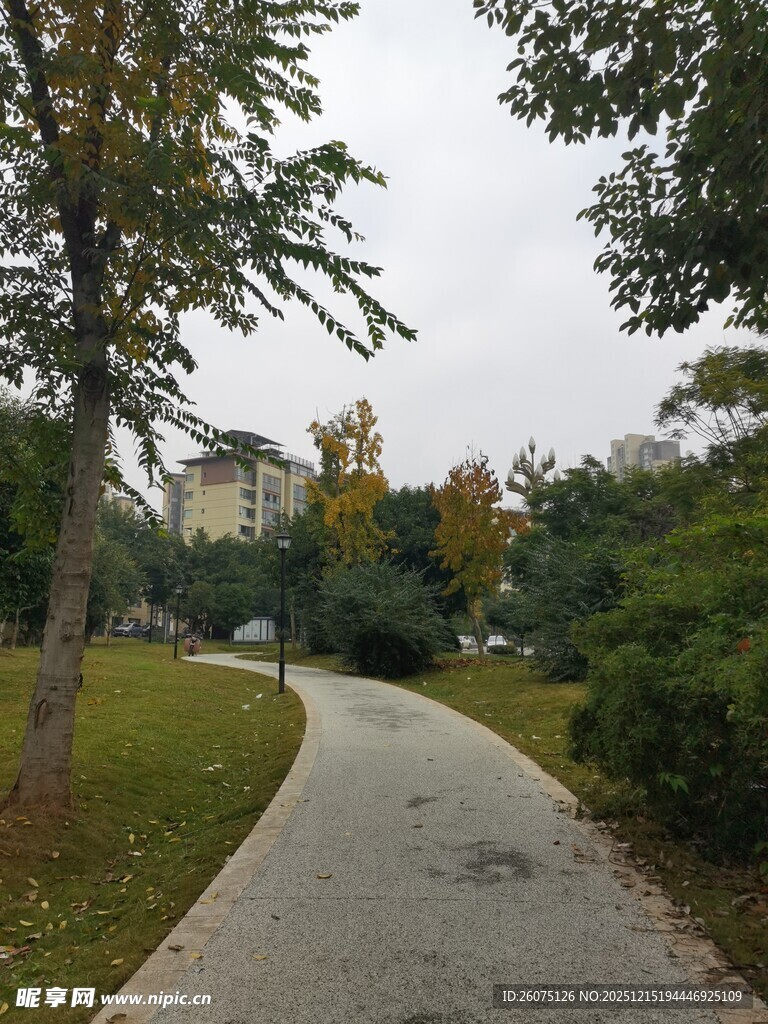 秋日公园蜿蜒小路景色