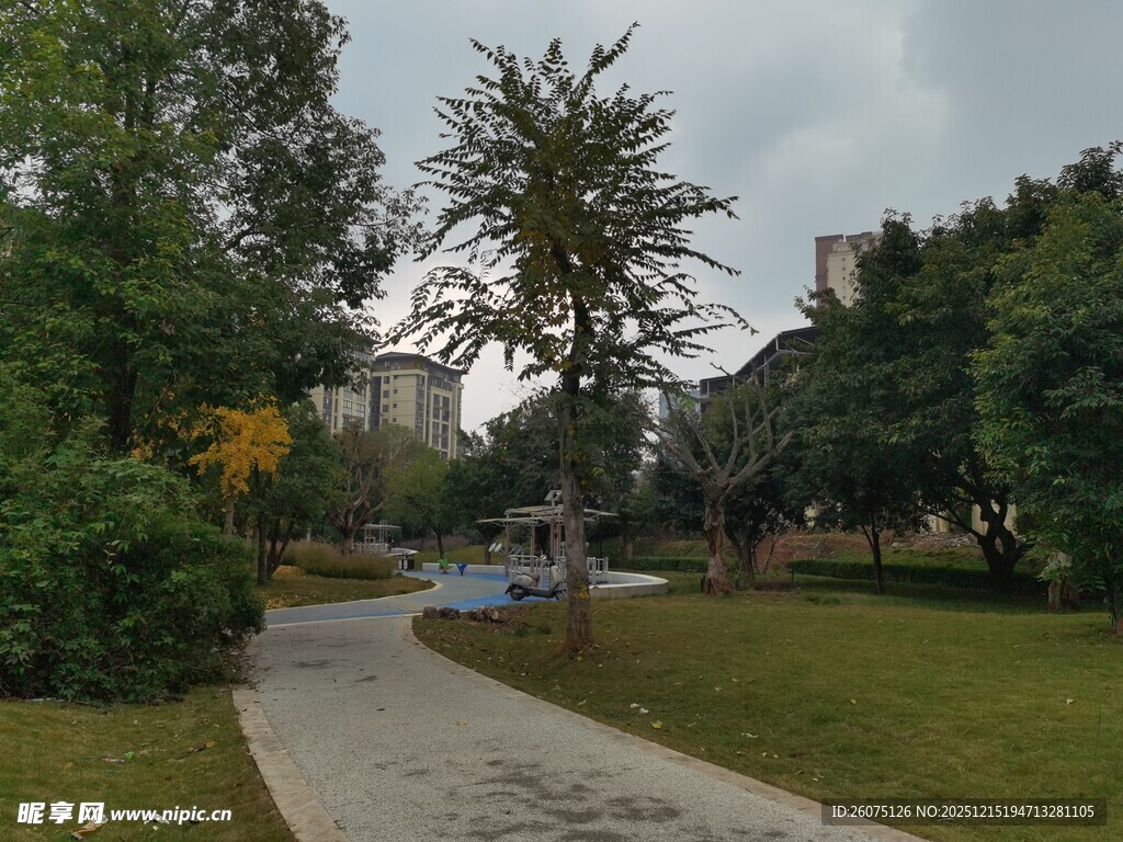 公园幽静小路与葱郁树木