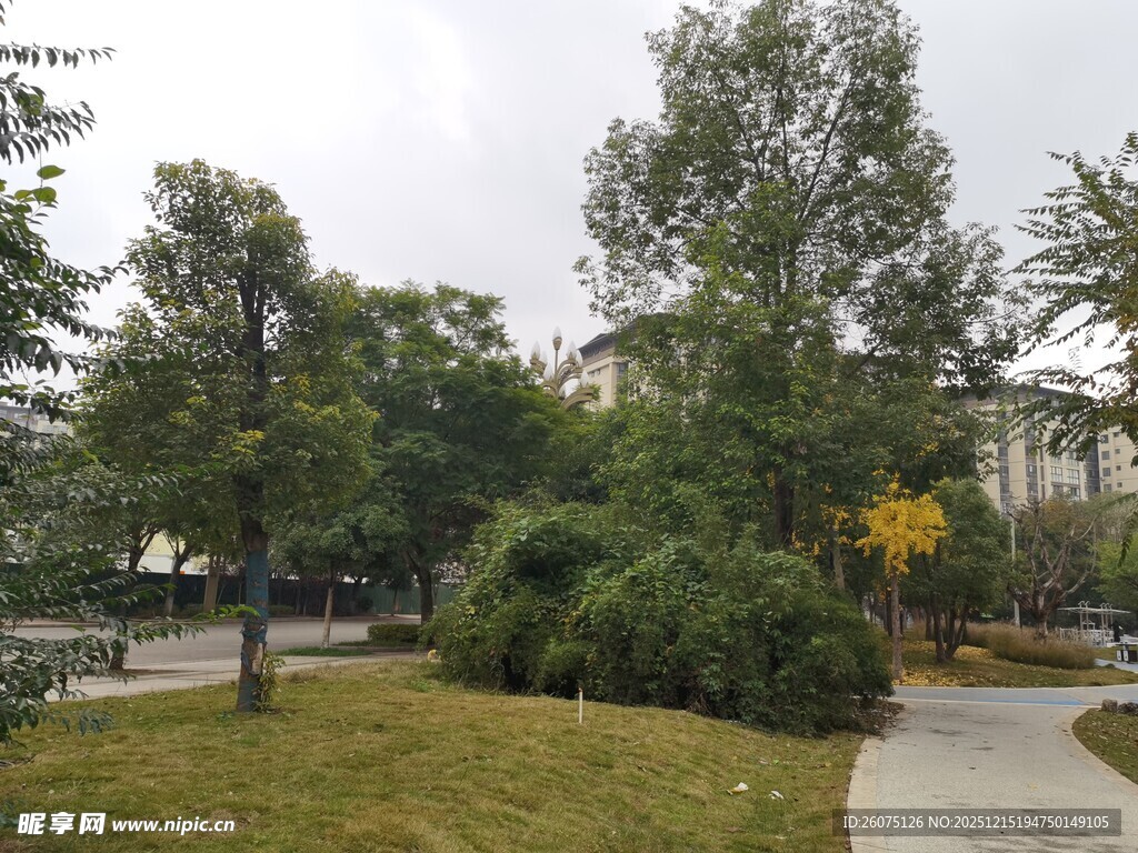 城市中的静谧绿化小景