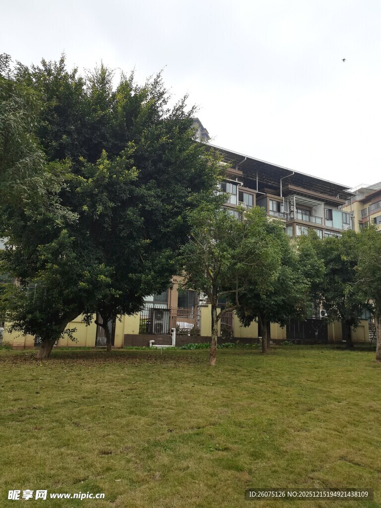 绿树环绕的多层建筑