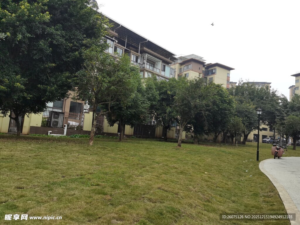 校园绿地旁的建筑景观