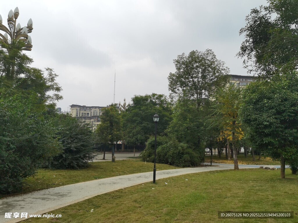 公园雨后景致