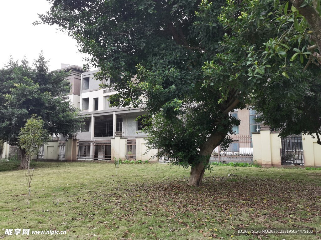 庭院绿树与建筑景观