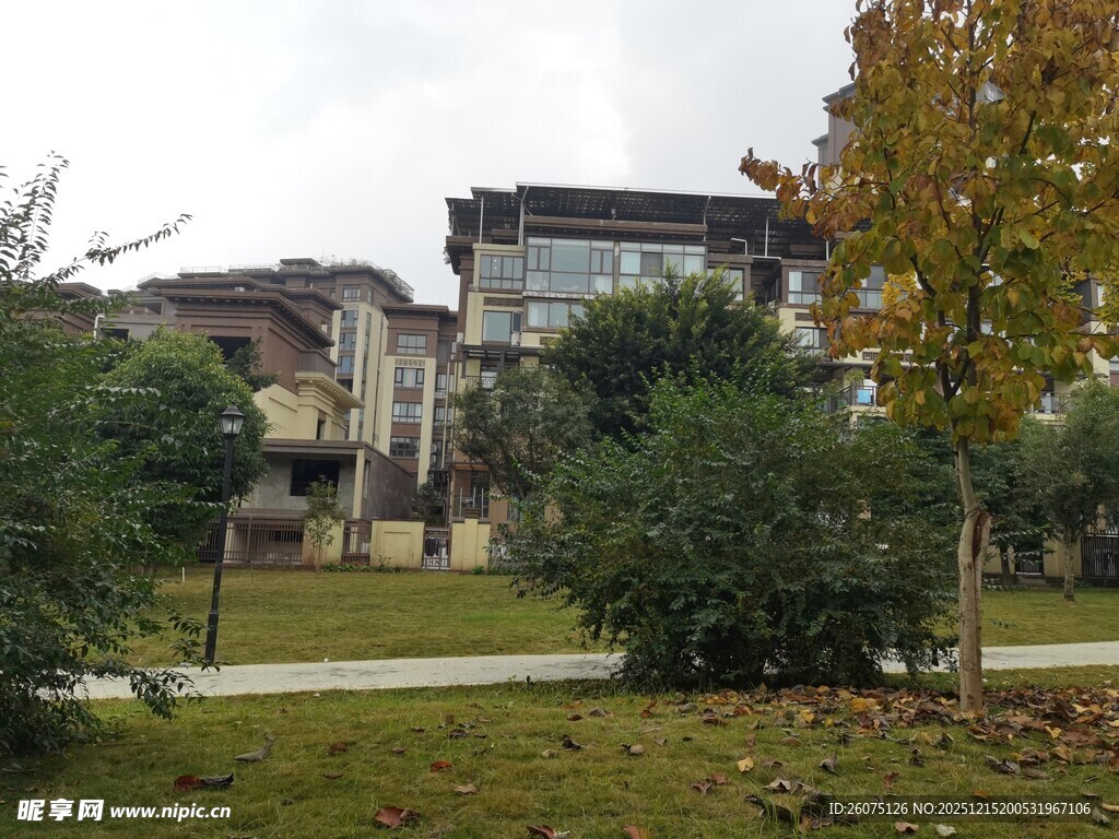 优雅住宅区园林景致