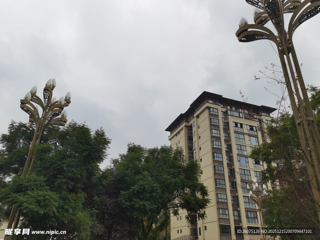 城市中高楼与绿植景观