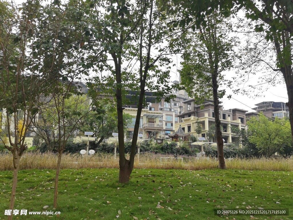 公园绿树草地与远处建筑