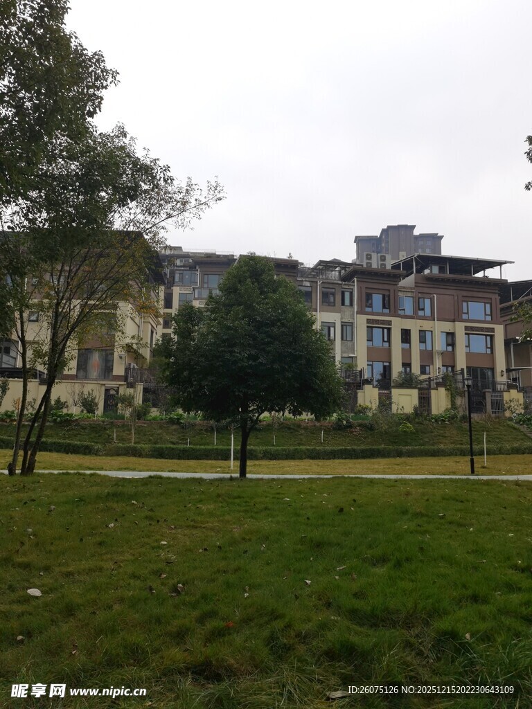 校园中的建筑与绿地景观