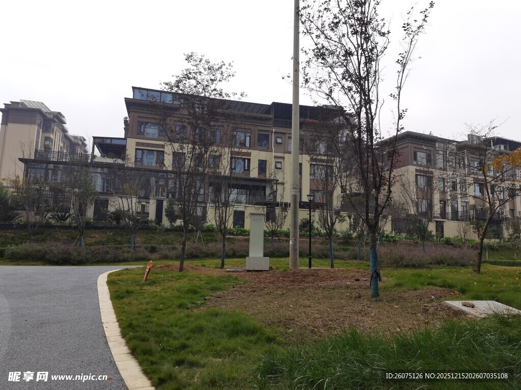 住宅区道路旁的建筑景观