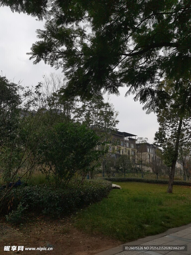 户外绿树环绕的静谧景致