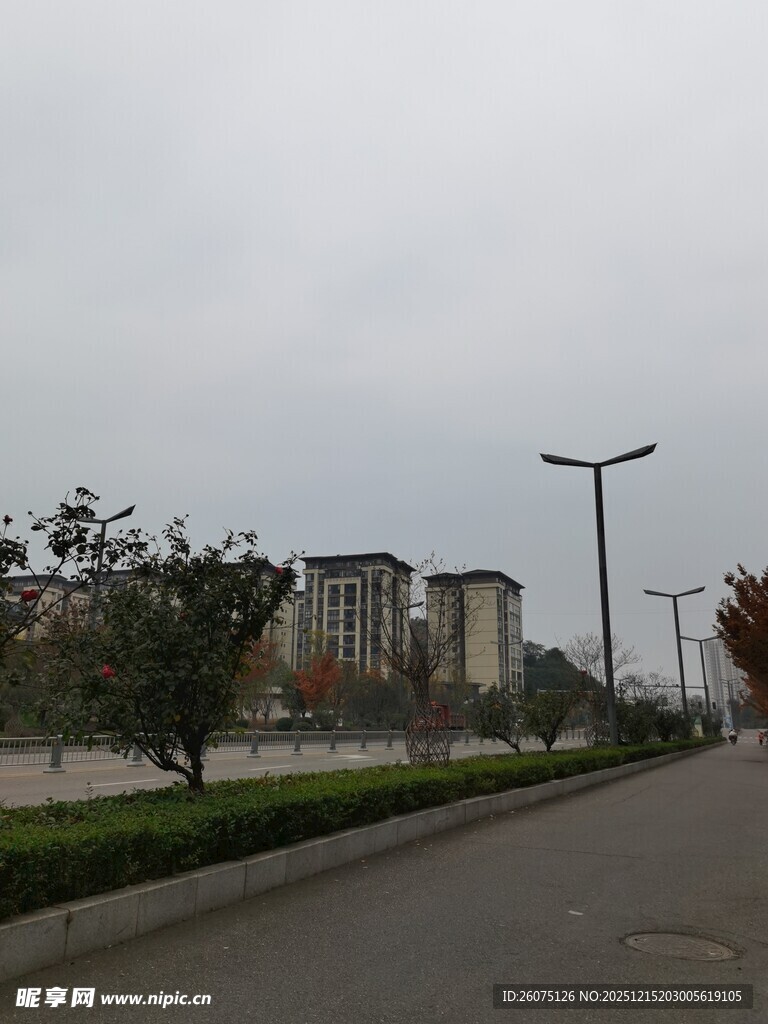 城市道路旁的建筑景观