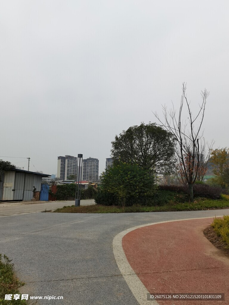 户外园区道路景观